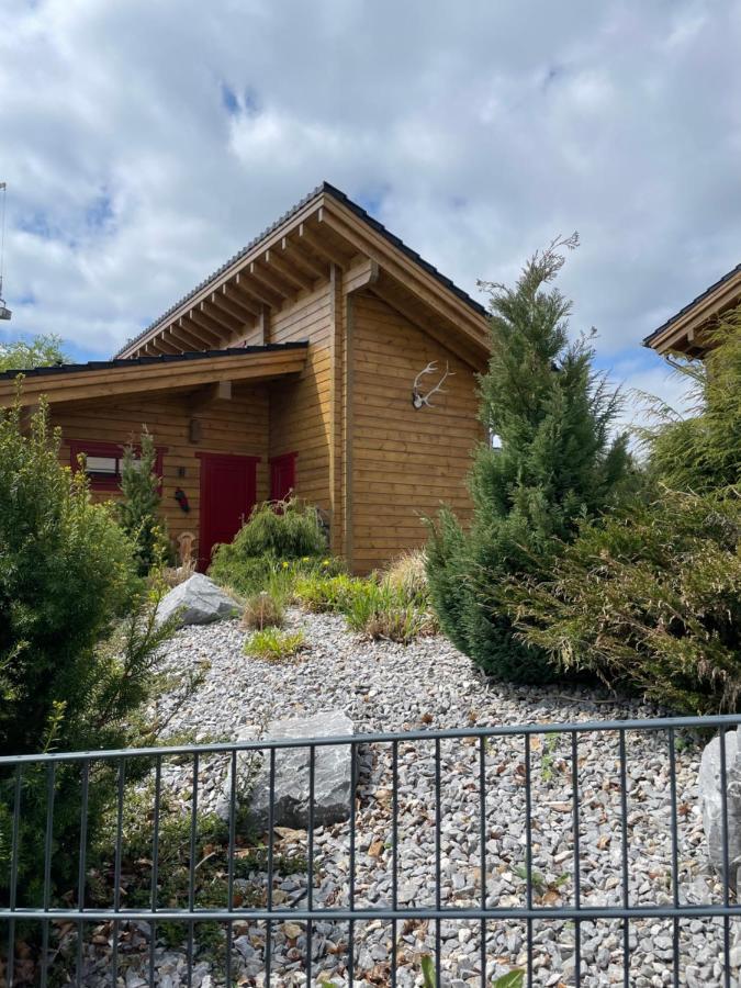 Blockhaus An Der Skiwiese Ferienhaus