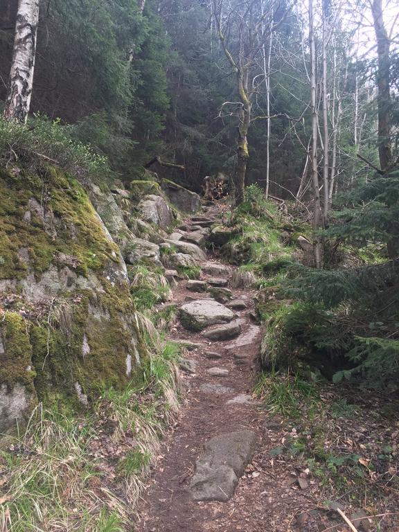 Blockhaus An Der Skiwiese Ferienhaus Braunlage